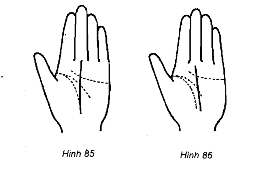 Minh họa các dạng đường để so sánh hình dạng và vị trí.